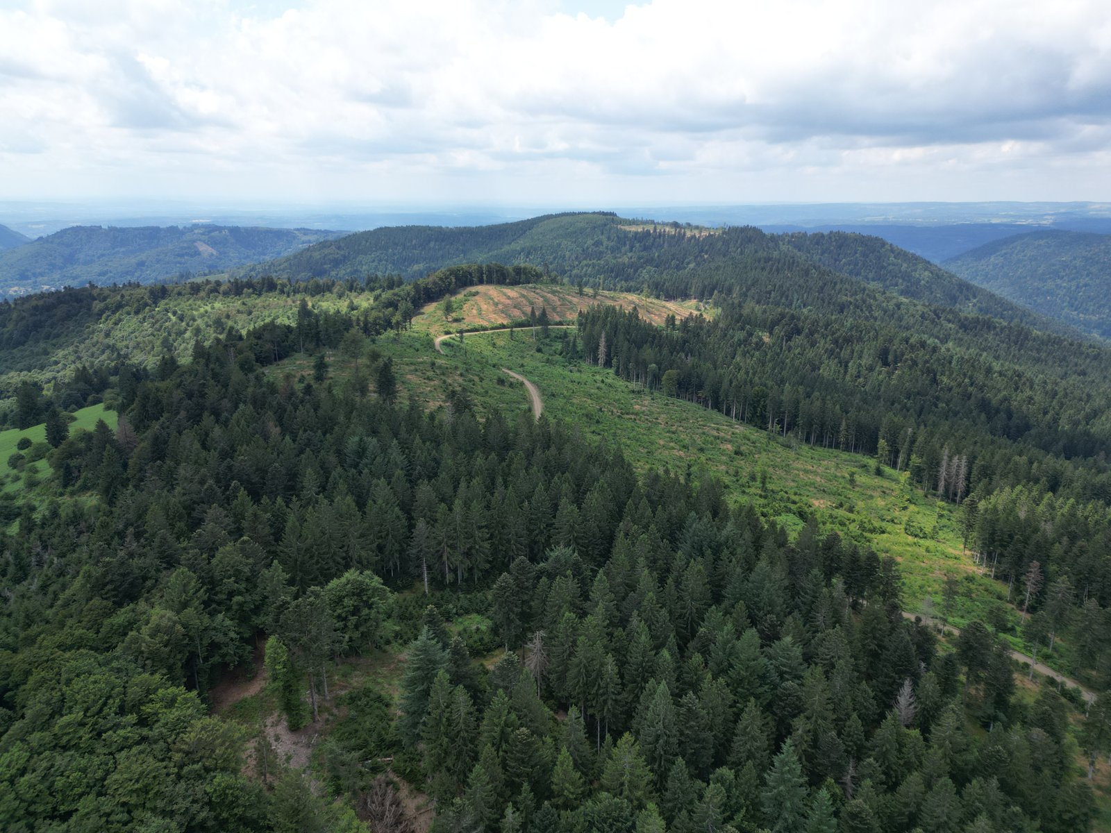 Aperçu d'une chambre du gîte