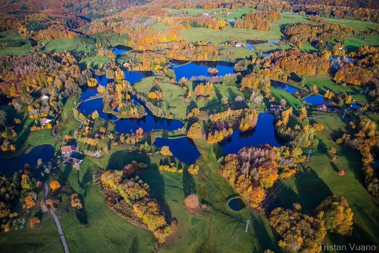 Vue aérienne des étangs et forêts du plateau des Mille Étangs en automne